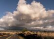 saddle road in Hilo Hawaii