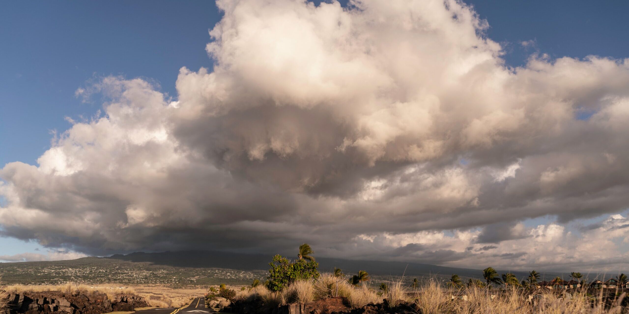 pexels-alohaphotostudio-11258317 saddle road in Hilo Hawaii