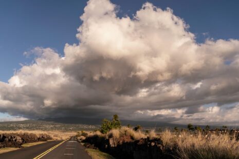 saddle road in Hilo Hawaii